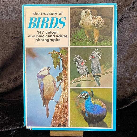 The Treasury of Birds | 1972 | Vintage Bird Book - Picture 1 of 10